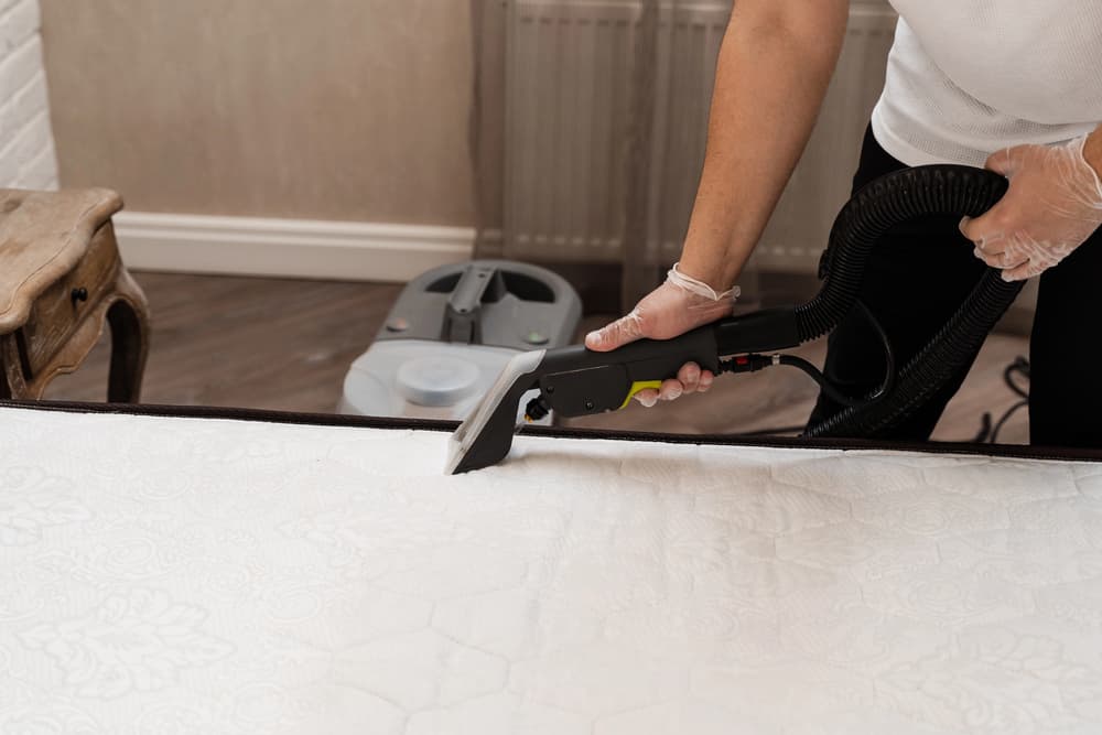 Mattress Cleaning
